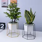 Buy Pot For Flowers Modern Medium Size Cheap Succulent Pot With Flower Iron Fame For Garden Green Plants