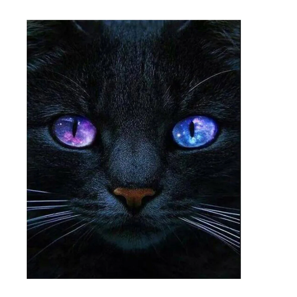 Black cat 5D DIY Diamond Painting 