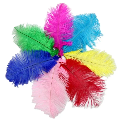 FREE Shipping 6-8in Small Ostrich Feather From Factory Supply Bulk Ostrich Feathers Wholesale