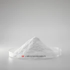 Natural 2g Pure Natural Tremella Powder Snow Fungi Extract Powder Sample Fast Shipping Food Grade