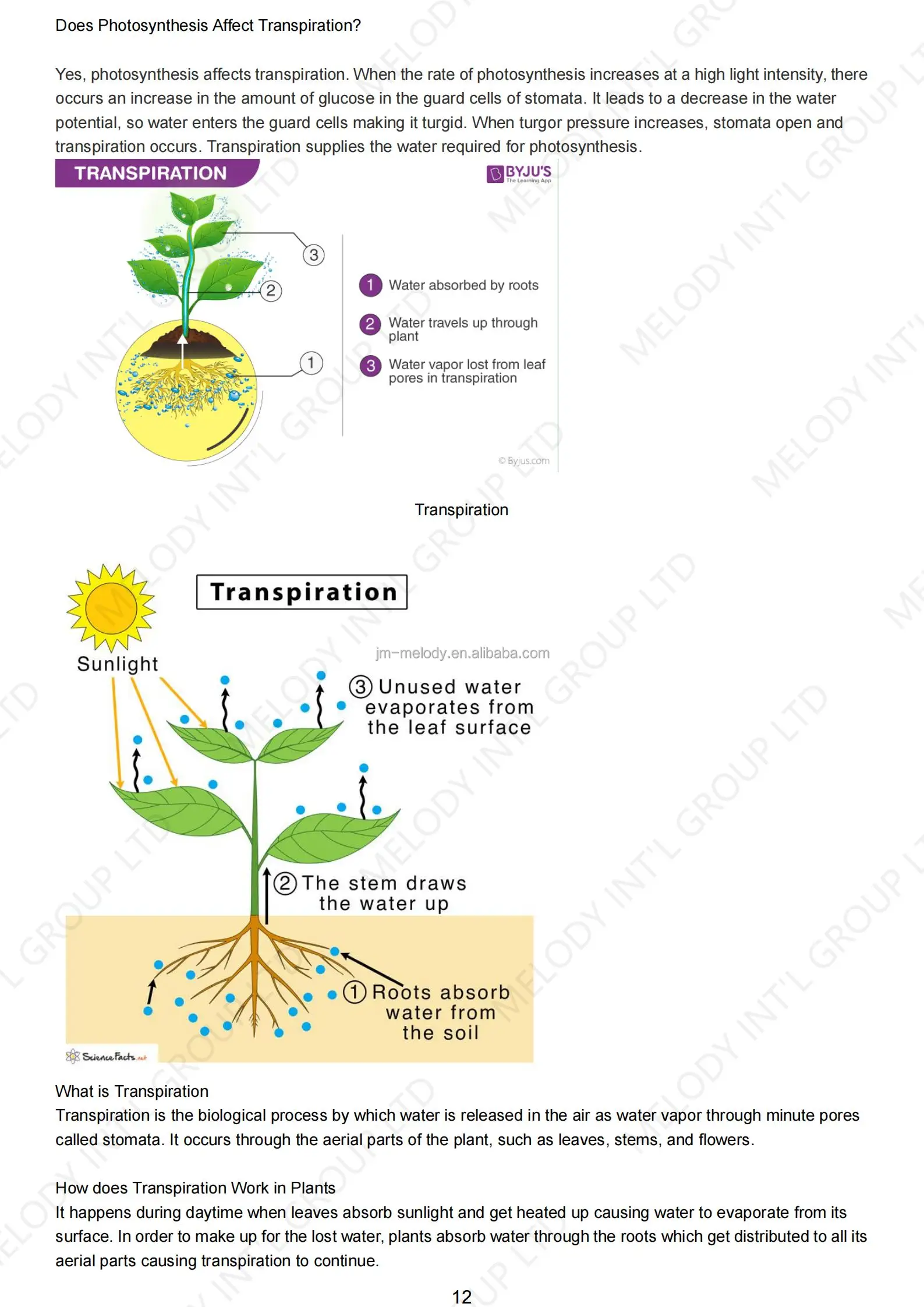 Growth Guide_11.jpg