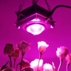 Led Led 10 Years Factory Custom COB Led Grow Light Real 60W 4000K 80Ra 50W DIY Led Plant Grow Light Kit