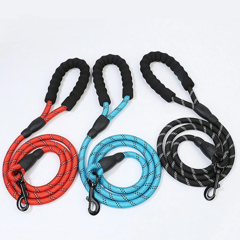 Multi colour dog leash