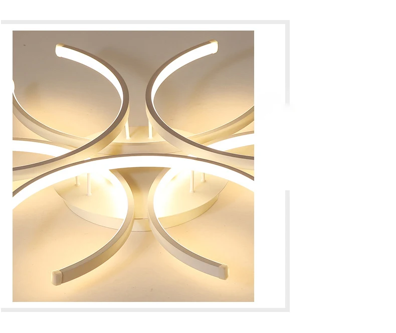 Home Decorative LED Ceiling Light Modern Living Room Bedroom LED Indoor Lighting