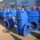 Electronic DIN3352 F4 Iron Gate Valve Electronic Operation Gate Vlave Dn800 Valvula Compuerta Dn600