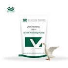 Broiler Chicken Weight Gain Premix For Pigeons Poultry Chicken Growth Promoter For Animal Health Products
