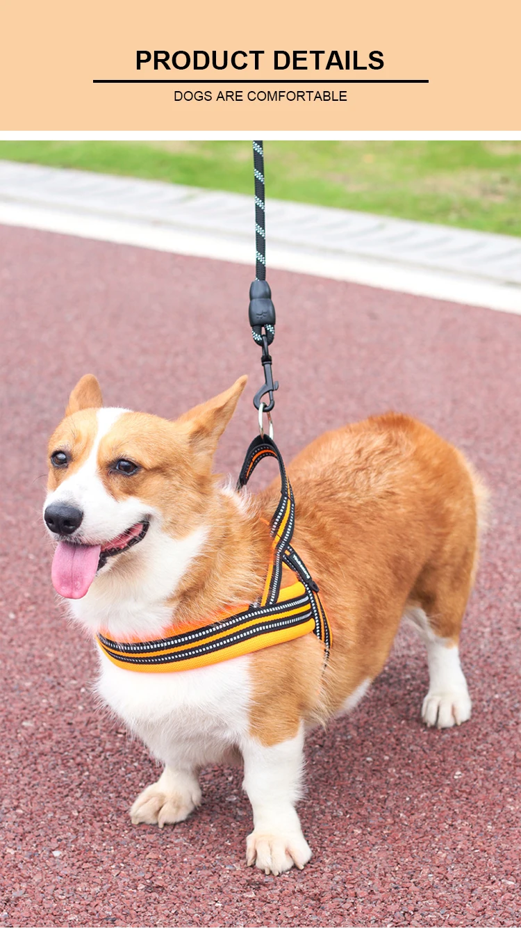 Soft Vest Neck Chest Adjustable Reflective Light weight Harness Anti-Twist Pet Lead Combo Dog Collar Leash And Harness Set