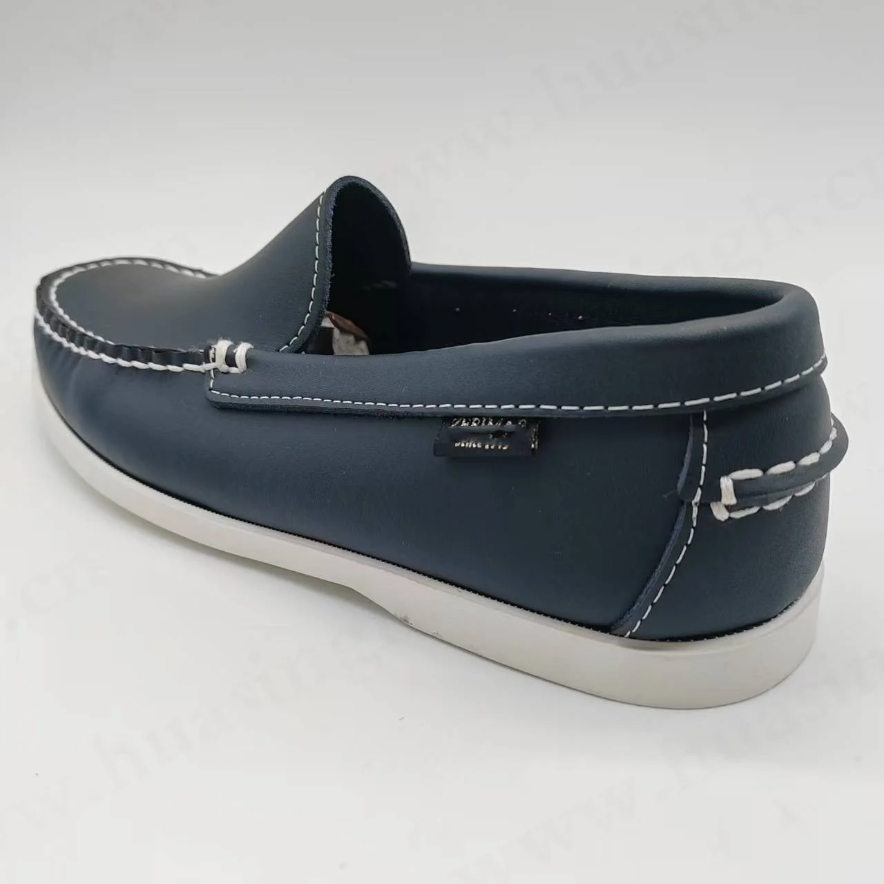 HSW067 (+)
