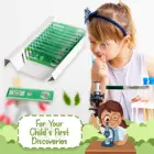 12pcs Children Kids Plastic Microscope Slides Green Plants Biology Color Safe Slides Education