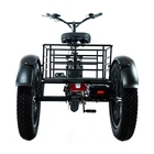 Electric Trike China Hot Selling Adult 3 Wheel Bike Electric Tricycles 750W 48V Li-ion Battery Trike