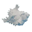 Corals Resin Crafts Sea Conch Shell Corals Decoration Ornaments Resin Artificial Aquarium