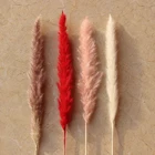 Wedding Decoration Cheap Pampas 60cm Wedding Decoration Party Shooting Props And Ornaments Interior Decoration