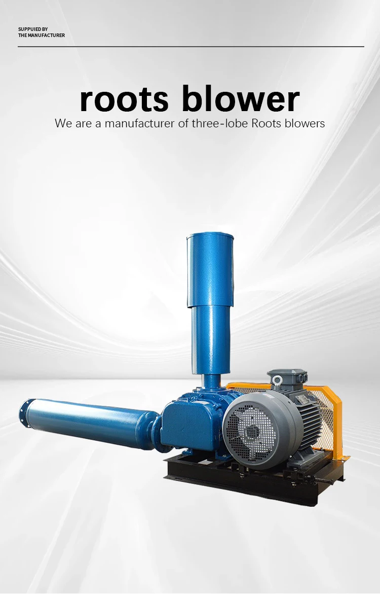 Roots Blower, 220 V, Electric - detail 2
