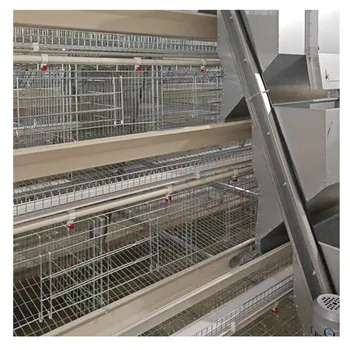 Battery Animal Cage Galvanized 4 Tiers Farm Poultry Egg Layer Chicken Cage in Kenya Tanzania