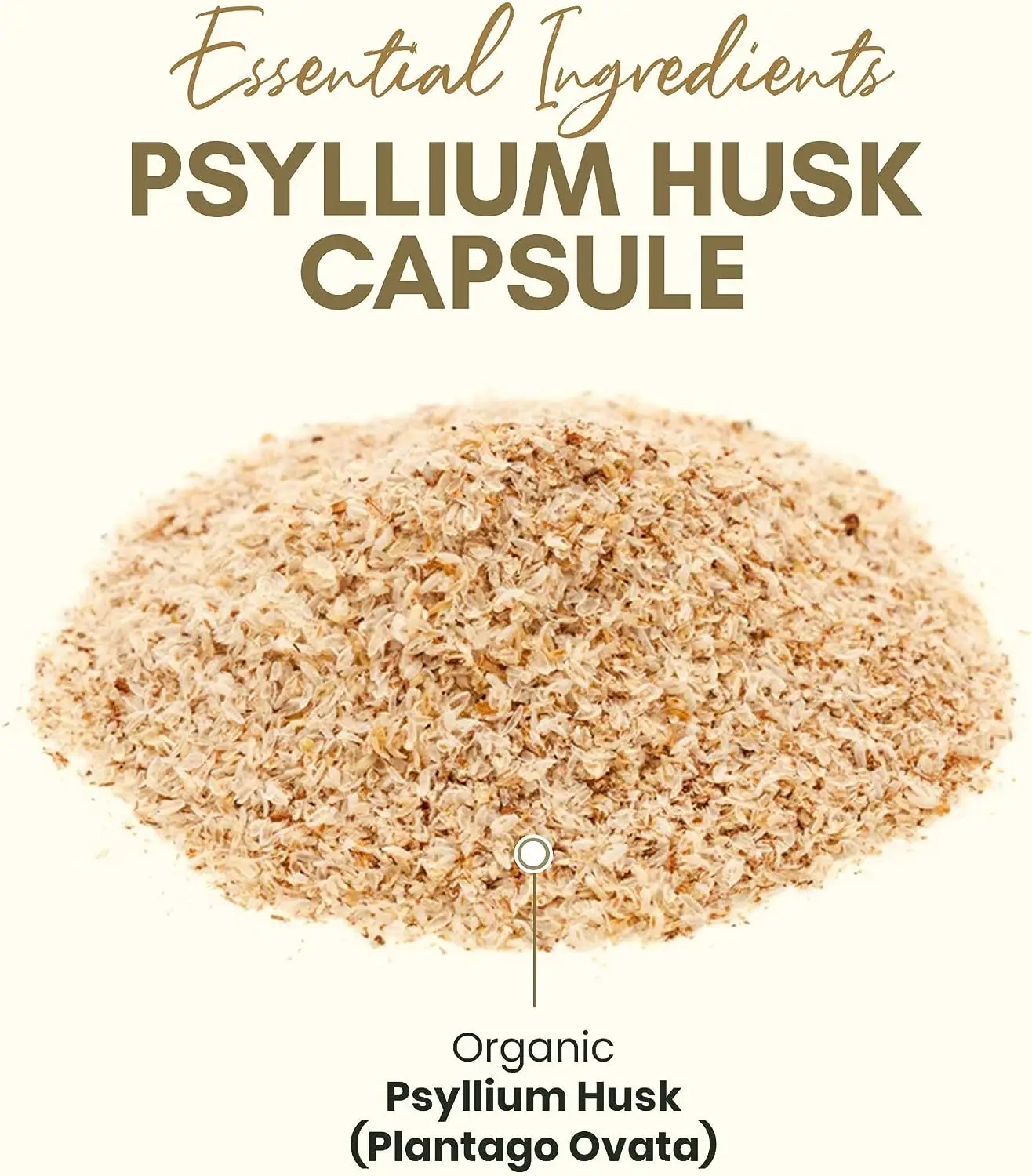 Wholesale Price Psyllium Husk Powder Organic Isabgol Psyllium Husk
