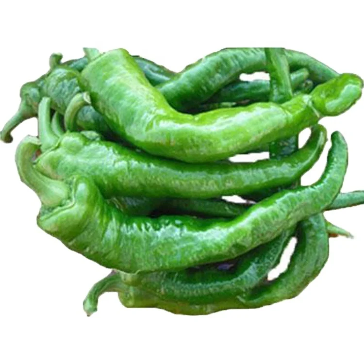 Healthy Green Vegetables Scotch Bonnet Peppers Buy Scotch Bonnet Peppers Green Pepper In Brine Fresh Scotch Bonnet Peppers Product On Alibaba Com