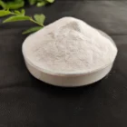 Industry Grade HPMC Powder 200000 Cps Hydroxypropyl Methyl Cellulose High Water Retention