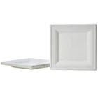 Disposable Plates Sugarcane Pulp Biodegradable Compostable Square Eco Disposable Plates
