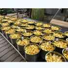 Corn Fresh Healthy Food Canned Crisp Golden Sweet Kernel Corn Maize Price