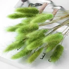 Preserved Florals Cute Preserved Lagurus Preserved Bunny Tails Floral Arrangement Floral Filler For Home Decoration
