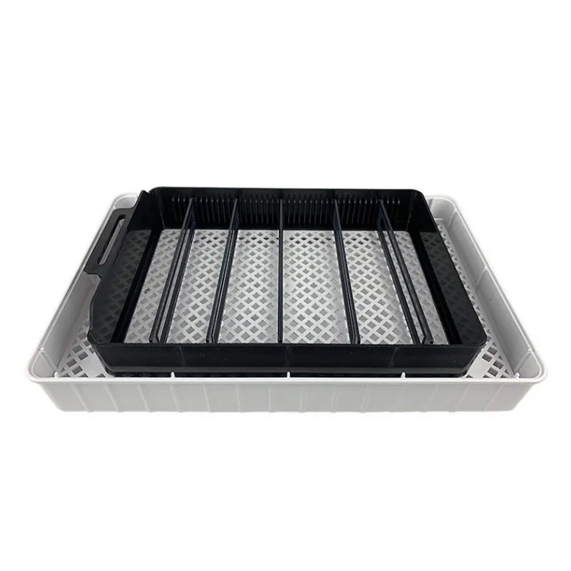 Temperature Controller, 12 Chicken eggs, ABS - detail 12