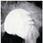 Polyamide The Best-selling Washable Polyamide Hot Melt Adhesive Powder
