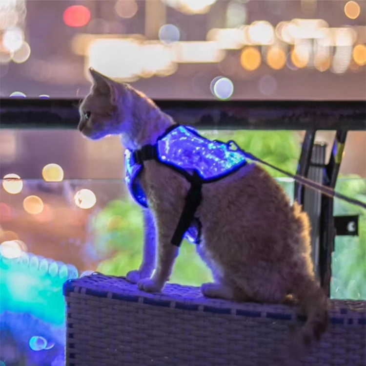 led cat harness