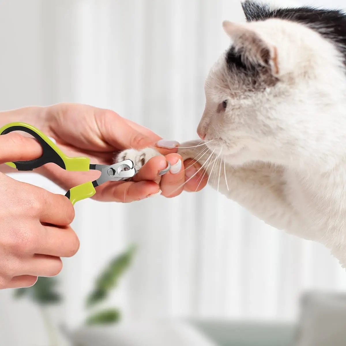 Mini Cat Pet Safety Nail Clippers For Small Animals Professional Non