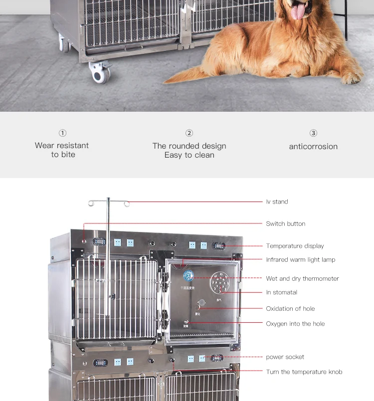 High Quality Thermostatic Stainless Steel Dog Pet Cages Houses Temperature Control & Oxygen Cabin