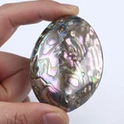 Shell Abalone 50-60mm Natural Polished Shell Natural Craft Abalone Shell
