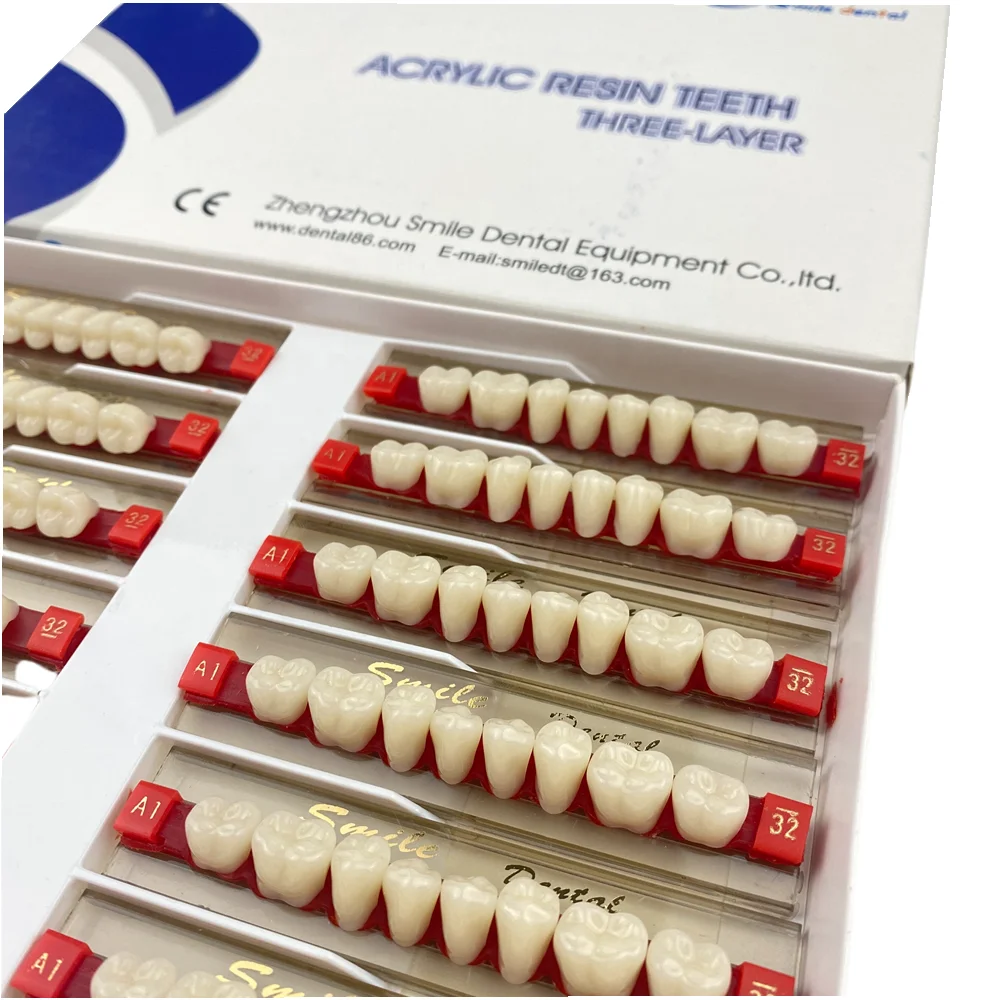 Dental Posteriors Teeth Artificial Acrylic Resin Teeth Layer False