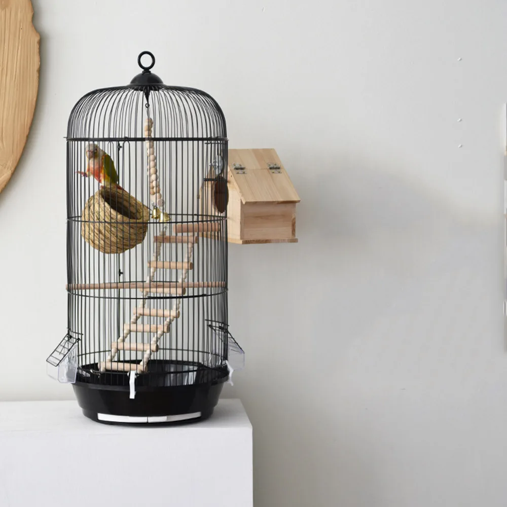 steels bird cage in black colour