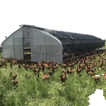 Poultry Farm Chicken House Broiler House Poultry Farm Business Plan In Marathi Language