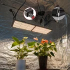 Mini Meijiu Grow Lights Shenzhen Meijiu Promotion Lm301b Diy Mini Indoor Kit QB288 240w Lm301h Grow Lights For Indoor Plants/