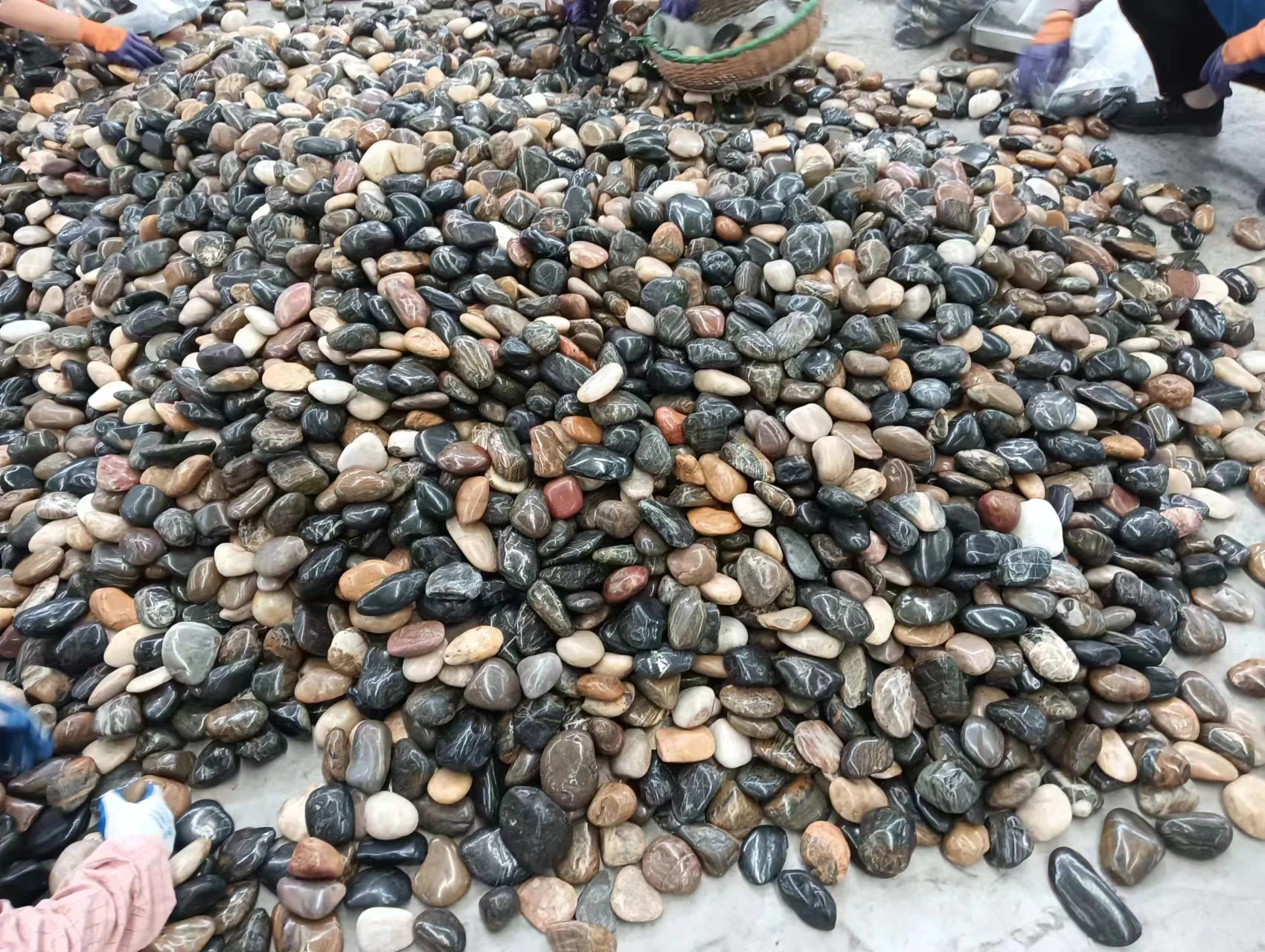 High-Polished Natural Stone Decorative Pebbles Mixed round Cobble and White Stone Competitive Supply