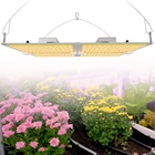 Light High Quality 480W IP65 Waterproof Indoor Plant Full Spectrum LED Grow Light
