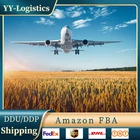 DDP AIR Shipping Company Amazon FBA Freight Forwarder China To JAPAN/ USA/UK/AU/CANADA