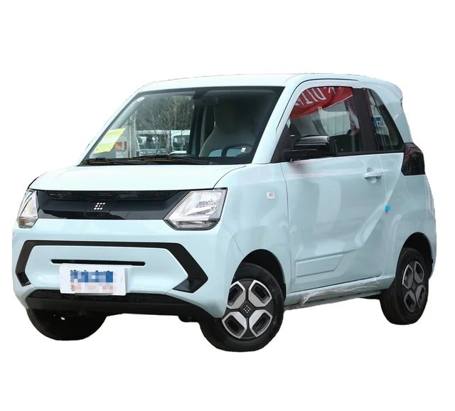 Dongfeng Fencon Mini EV Made in China Adult-Sized Pure Electric Vehicle New Automotive Energy Car