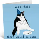 Cards Card Anniversary White Personalised Handmade Blank Funny Cat Birthday Cards