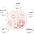 Day High Quality Omy Lady Instant Face Lift Day And Night Whitening Face Sleeping Cream