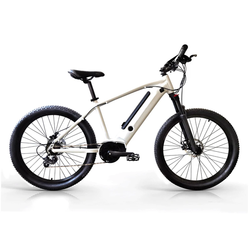 best torque electric bike