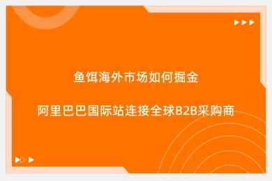 鱼饵海外市场如何掘金:阿里巴巴国际站连接全球B2B采购商