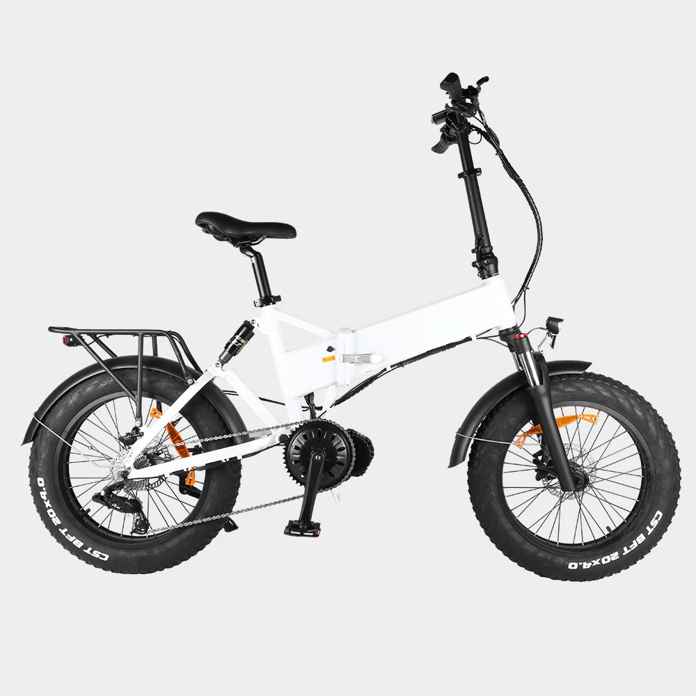 48v 1000w Mid Drive Ebike 20\