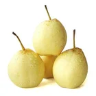 Fresh Pear Fresh 2021 High Quality Chinese Hot Selling Chinese Fresh Pear Yellow And Sweet Ya Pear