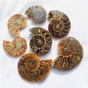 Wholesale Natural Small Size Druzy Geode Shell Snail Ammonite Fossil Pendant For Healing