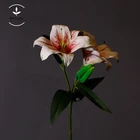 Silk High Quality Simulation Modeling Real Flower Tactile Decoration Wedding Gift Crafts Silk Artificial Lily