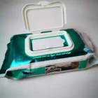 Factory Direct Sale Car Bacteria Cleaning Car Cleaning Wipes Car Washer