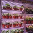 Light Super Bright Led Tube Double Led Chips T5 Integrated Tube Light Fixture For Outdoor Indoor Plant