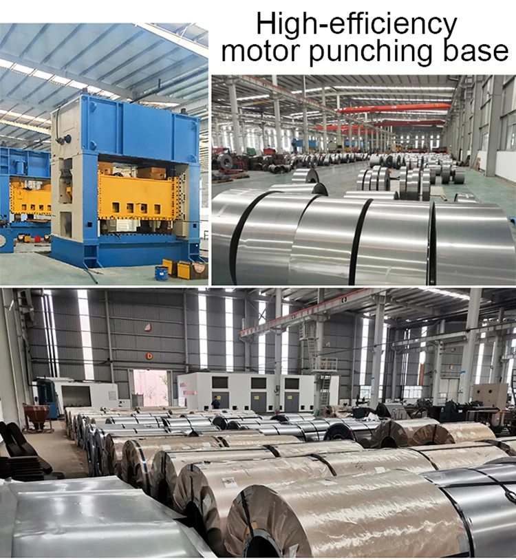 Industrial Flameproof Electric Explosion Proof Three Phase Induction Motor 