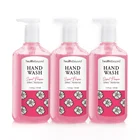 Liquid Soap Liquid OEM 221ml Liquid Hand Wash Soap